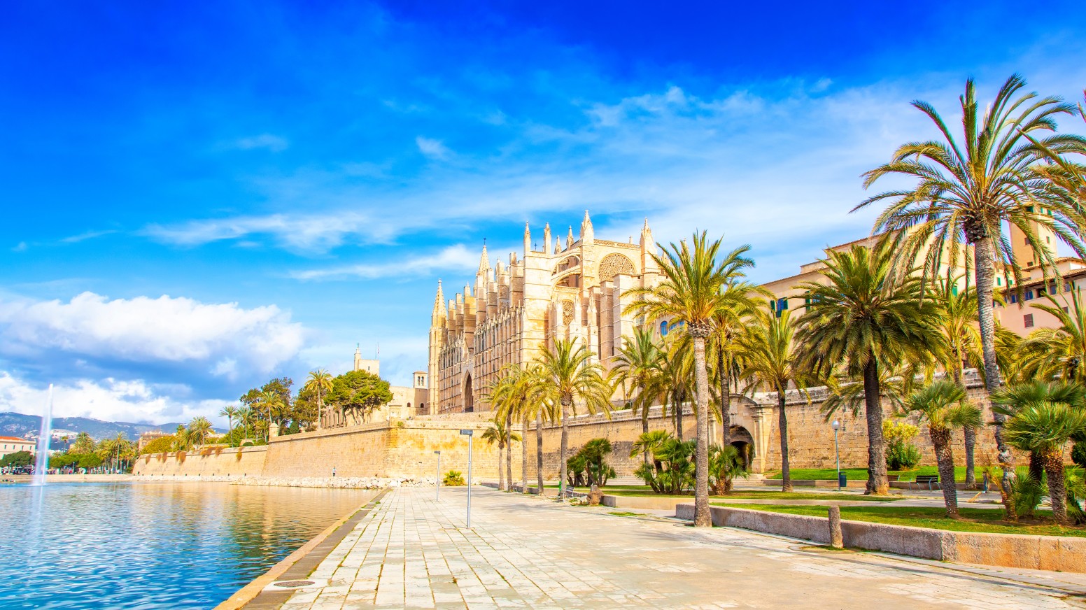 What to do in Palma?